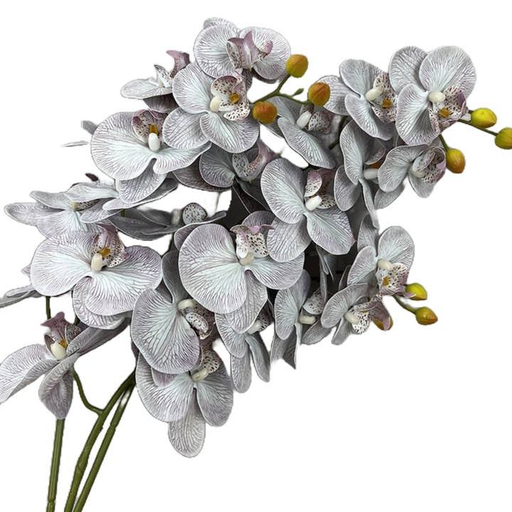 Angel Isabella - Wholesale Artificial Flowers - BULK-Real touch orchids-pack of 48 stems($5.5/each)