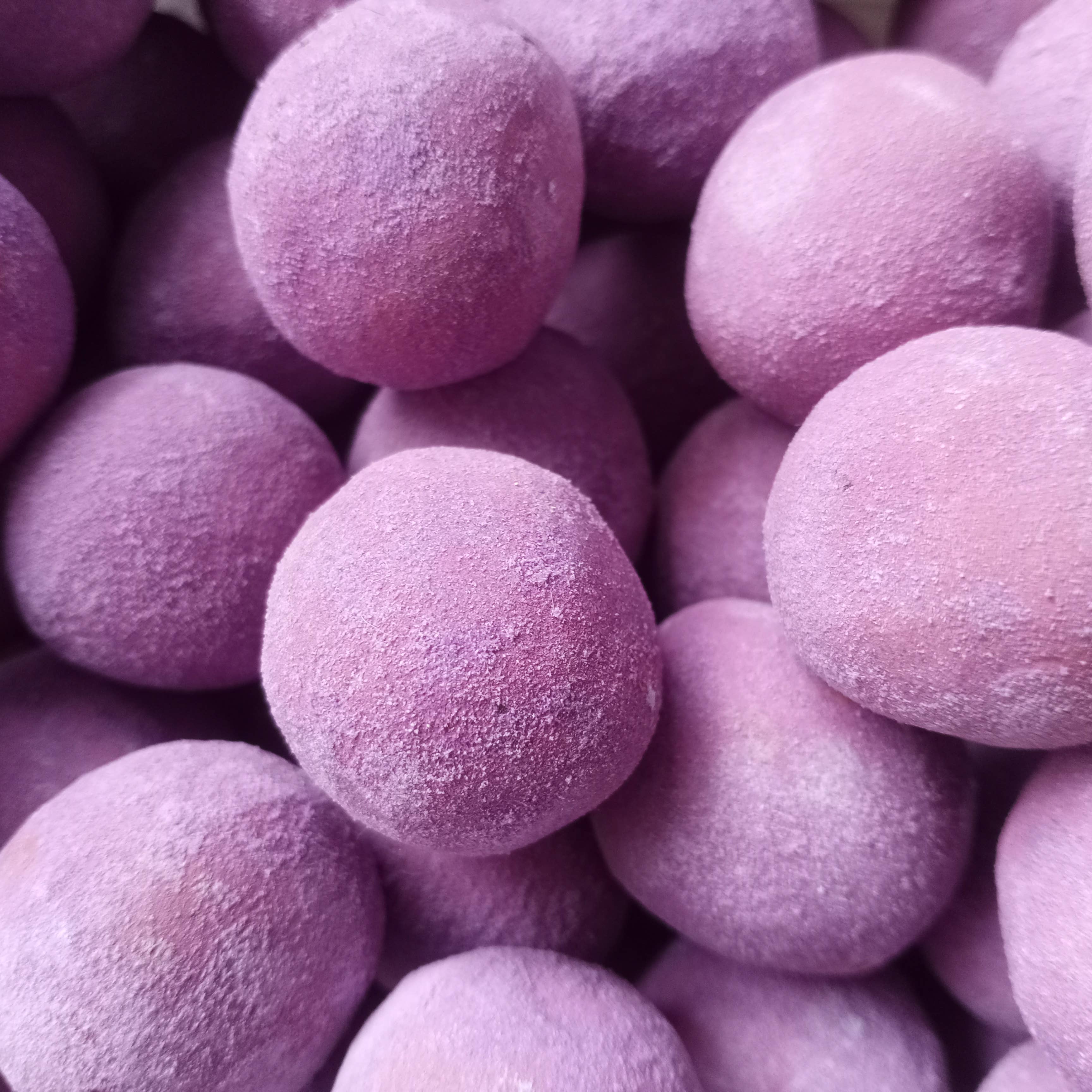 Sementes de Portugal - Wholesale Plant Seeds - Seed Pumps2