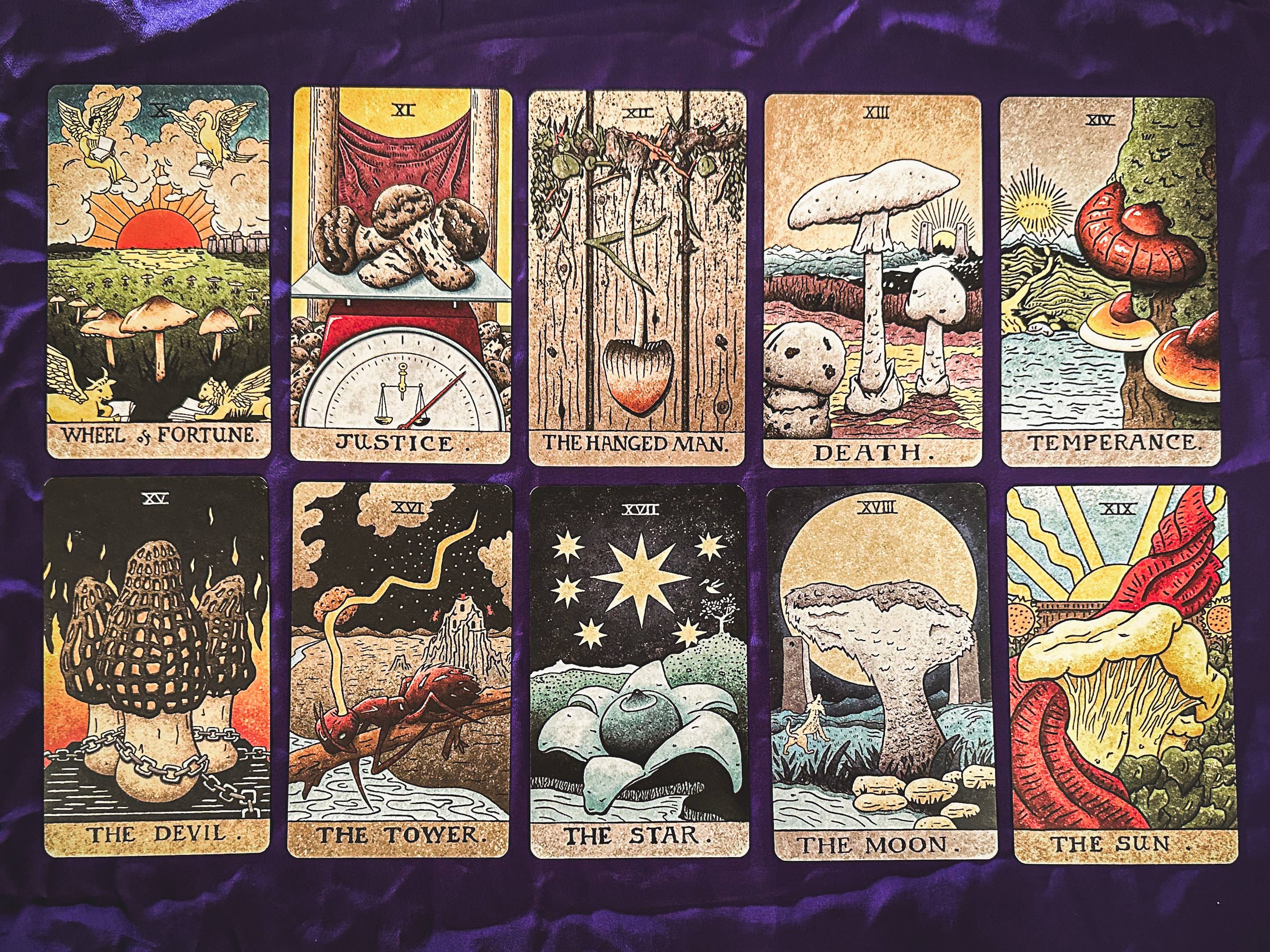 The Fungi Arcana - Vente Cartes de tarot - The Mushroom Hunter’s Arcanum : jeu de tarot de 78 cartes sur le thème des champignons6