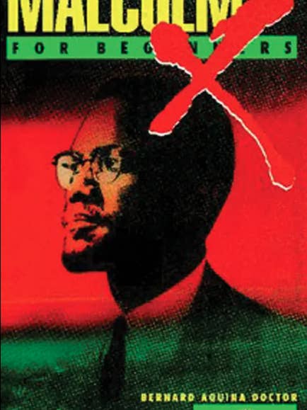 Malcolm X For Beginners for wholesale by Red Wheel/Weiser LLC