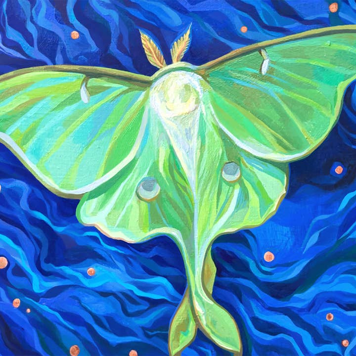 Marigold Art Studios - Wholesale Art Print - Luna Moth Art Print 1