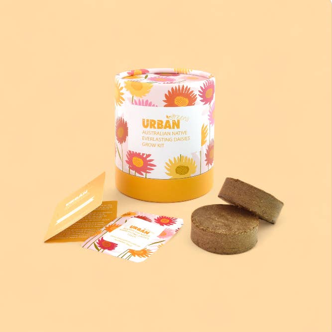 Urban Greens - Wholesale Plant seeds - Urban Greens Australian Native Everlasting Daisies Grow Kit4