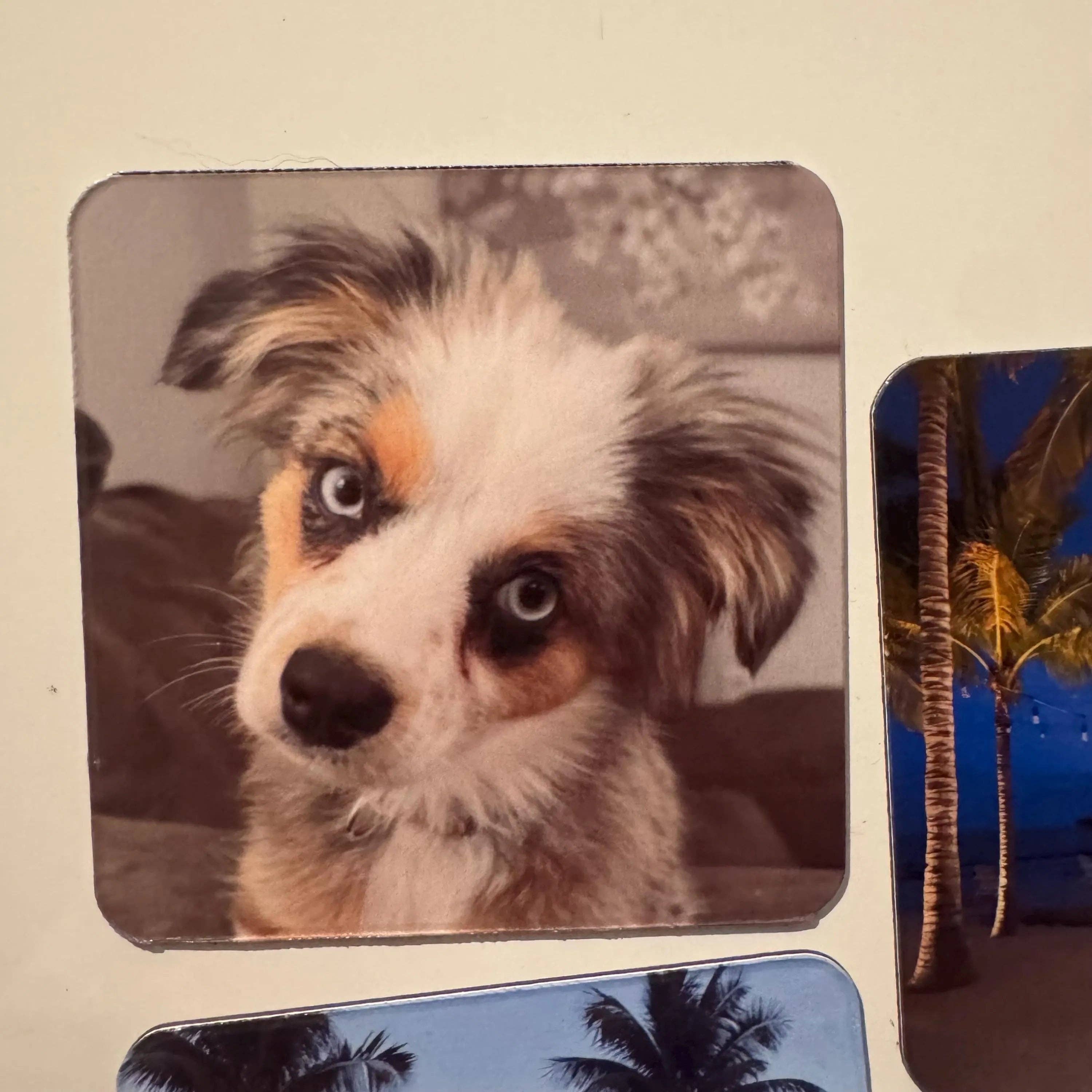 ASAP Craft Supplies - Wholesale Magnet - Custom Photo Magnets – Personalized Picture Magnets | Fridge Magnets with Your Photos | Gift for Family, Wedding Favors, Pet Magnet1