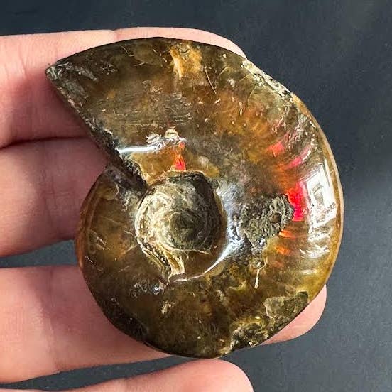 The Crystal Tabby – wholesale Andlig sten/kristall – Eldammonit - 1 styck0