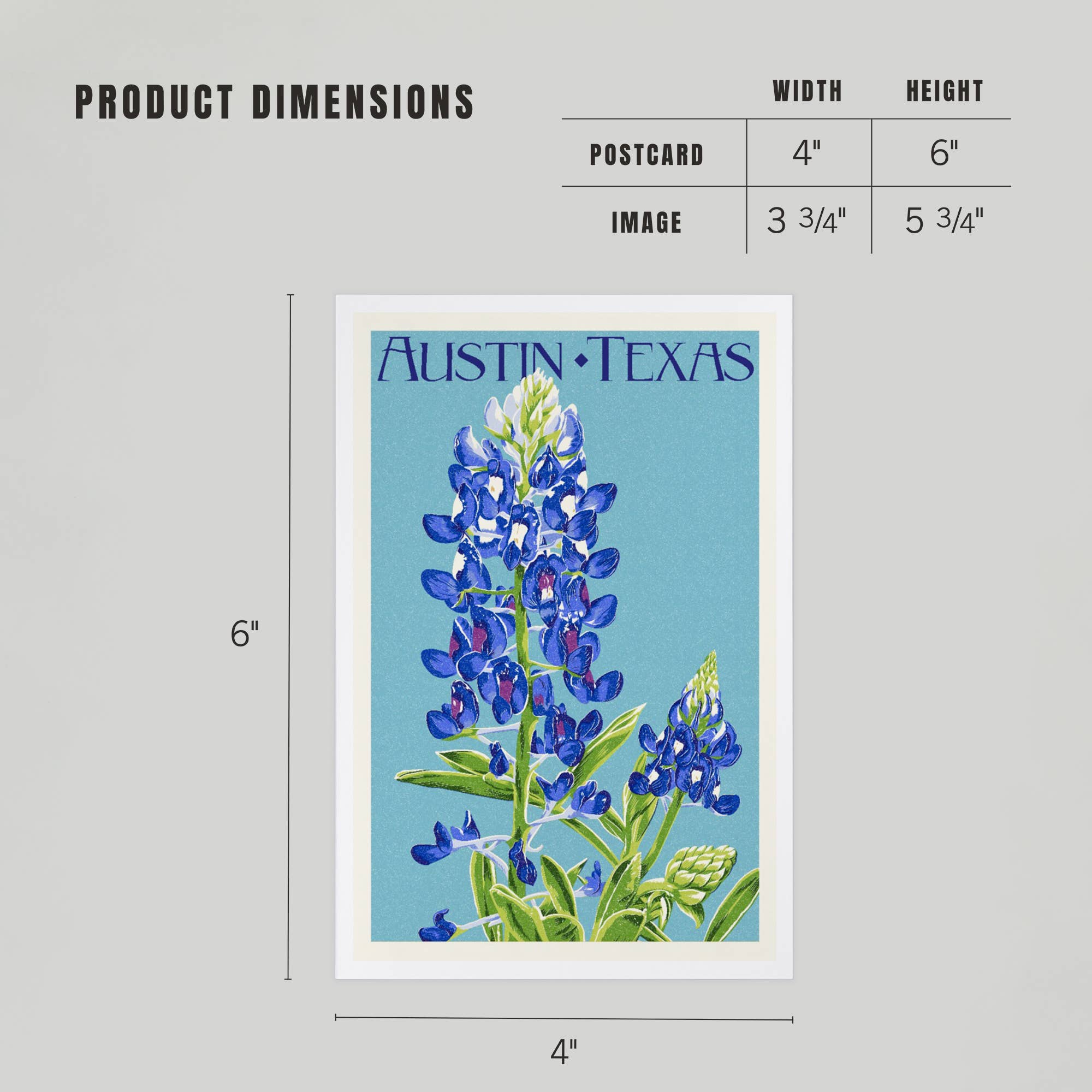 Lantern Press - Wholesale Postcard - PREMIUM POSTCARDS Austin, Texas, Bluebonnet, Letterpress4