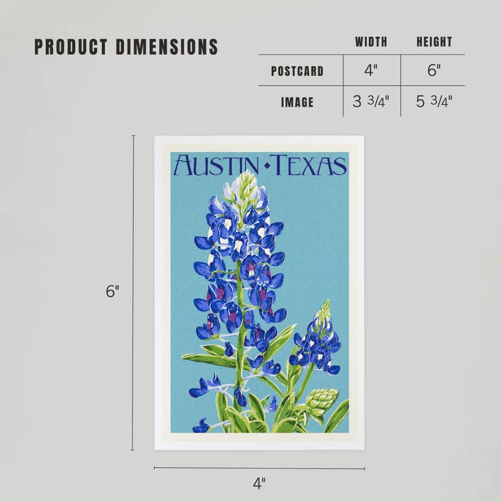 Lantern Press - Wholesale Postcard - PREMIUM POSTCARDS Austin, Texas, Bluebonnet, Letterpress4