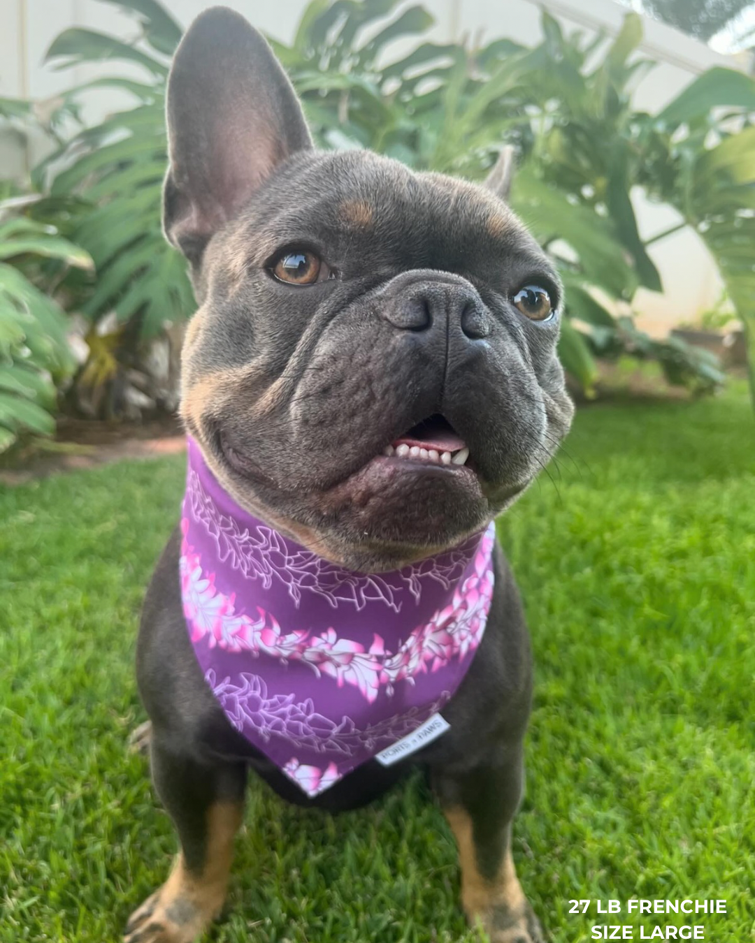 Ports and Paws – Großhandel Haustier-Bandana – Hund – SCHNELL TROCKNENDES HALSTUCH - ORCHID LEI6