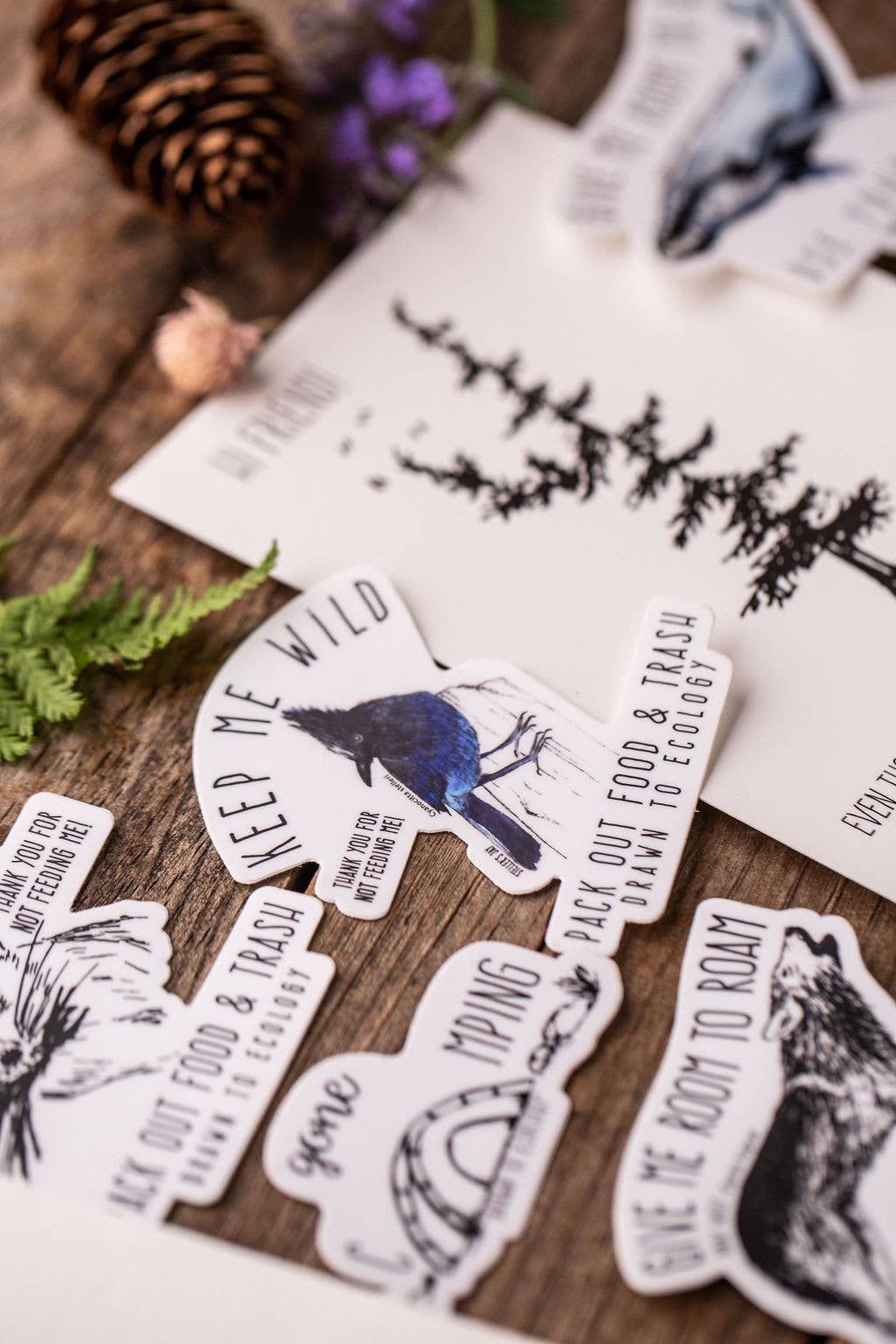 Drawn to Ecology - Wholesale Sticker - Gone Camping Sticker2