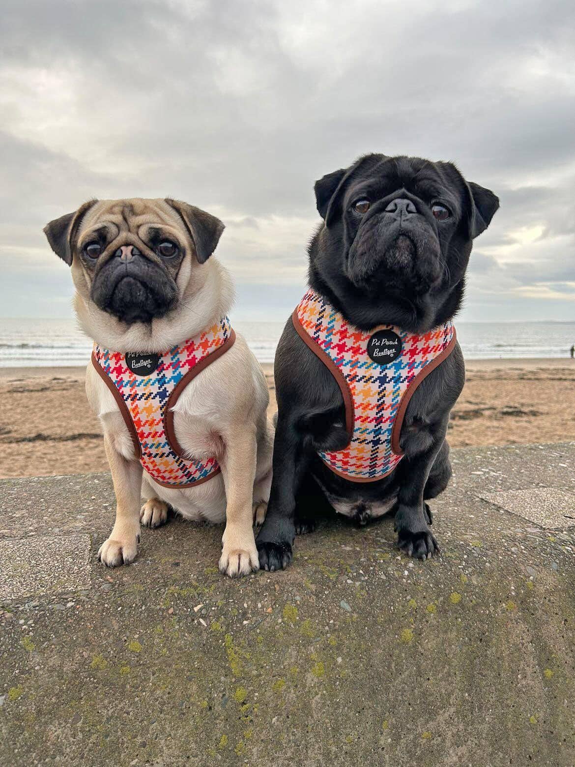 Pet Pooch Boutique - Wholesale Pet Harness - Dog - Lionheart Houndstooth Dog Harness (autumn/dogtooth/brown)3