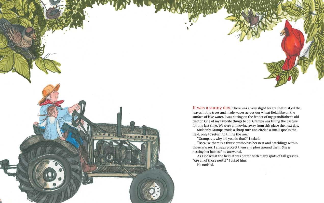 Simon & Schuster - Wholesale Preschool Book (3-5) - Palace of Books by Patricia Polacco1