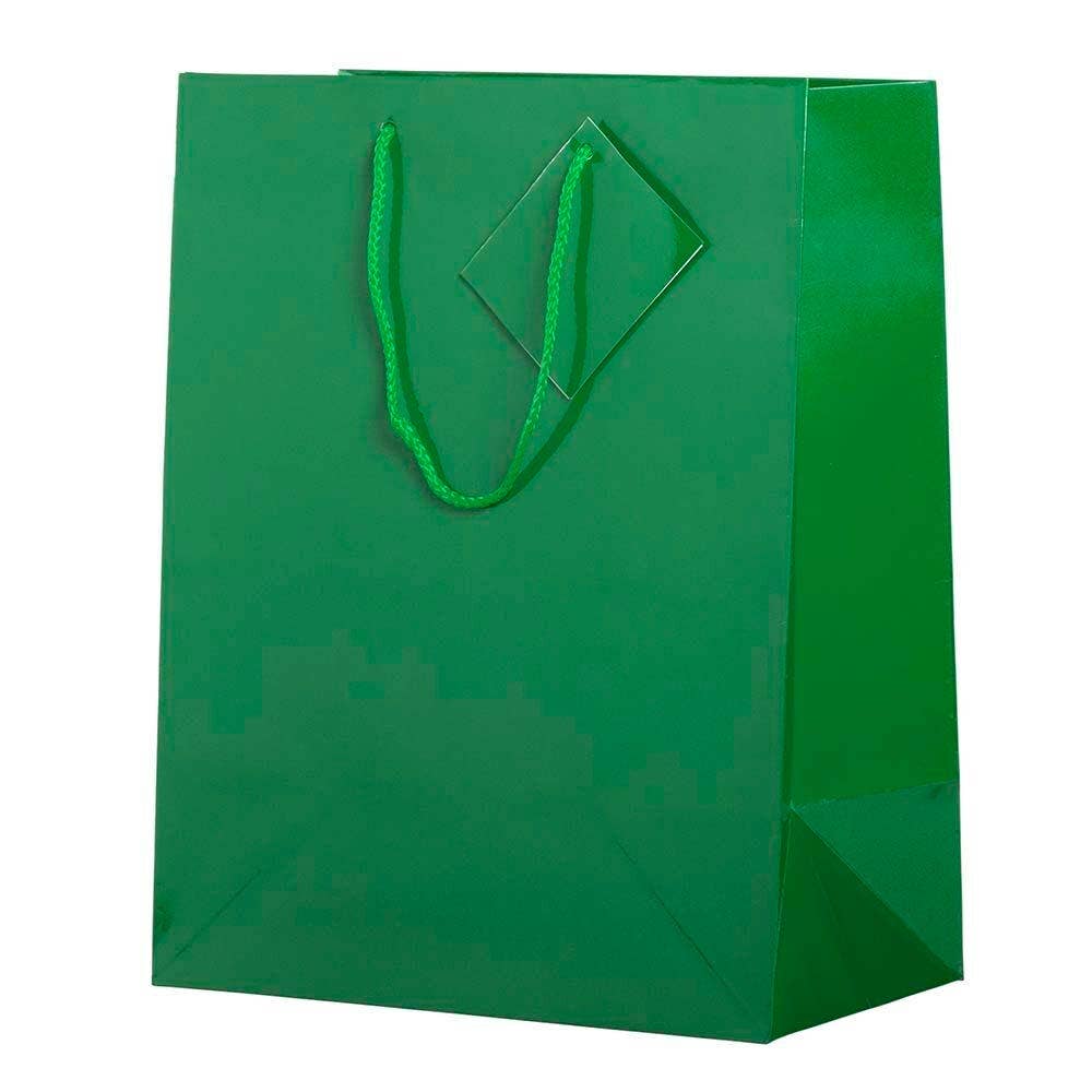 JAM PAPER - Wholesale Gift Bag - Glossy Gift Bags w/ Rope Handles, Large, 10x5x13, Green, 6PK2