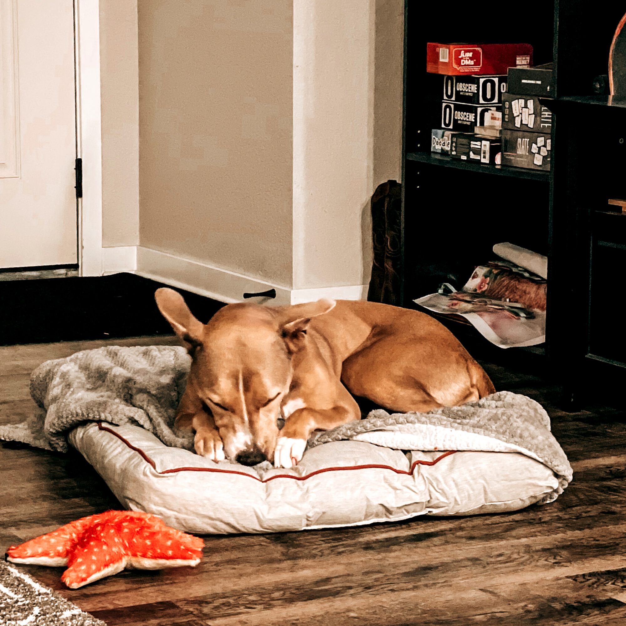 Midlee Designs - Wholesale Pet Bed - Dog - Midlee Grey Tufted Dog Bed10