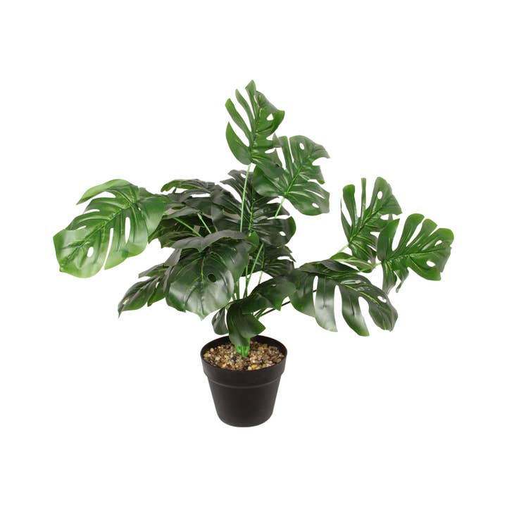Cubby House by Malmar - Wholesale Artificial plant - 55cm Leaf Fern in Black Pot