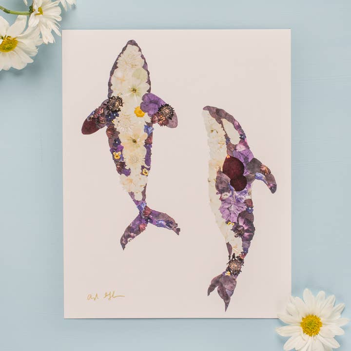 Oxeye Floral Co. - Wholesale Art Print - Orca Whales Print | Pressed Flower Art0