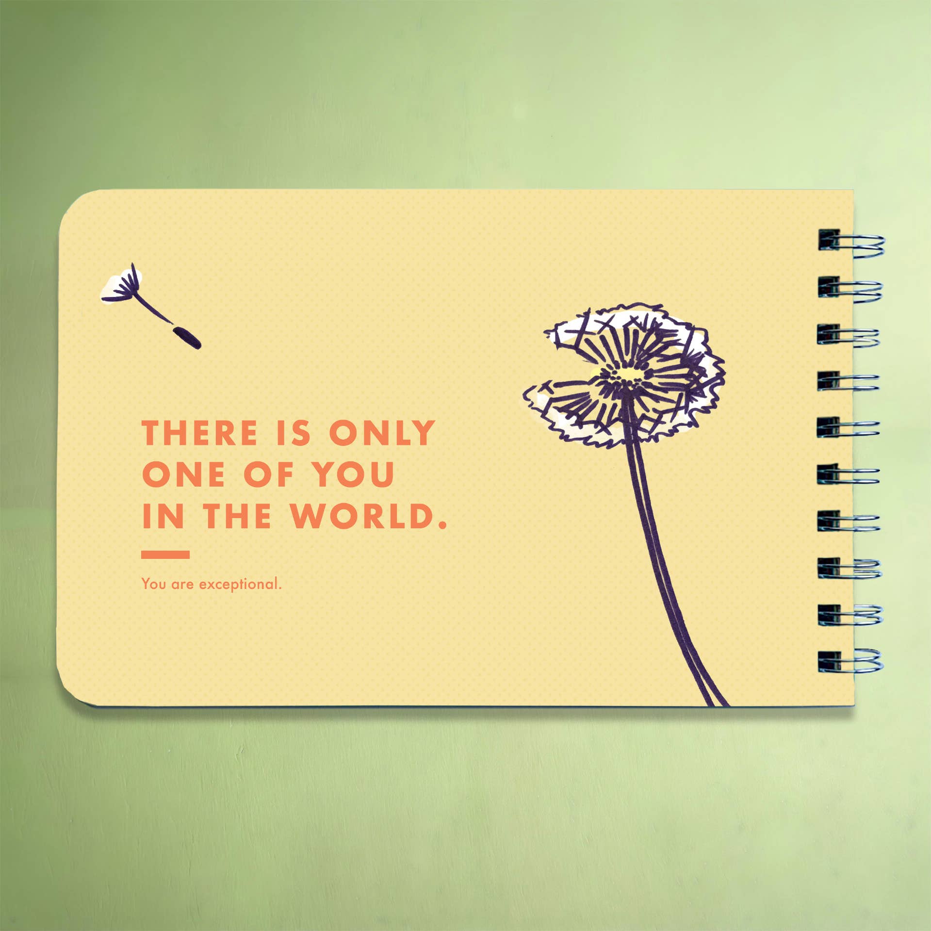 Papersalt – wholesale Förskolebok (3–5) – Att vara sig själv - En motiverande bok för unga barn9