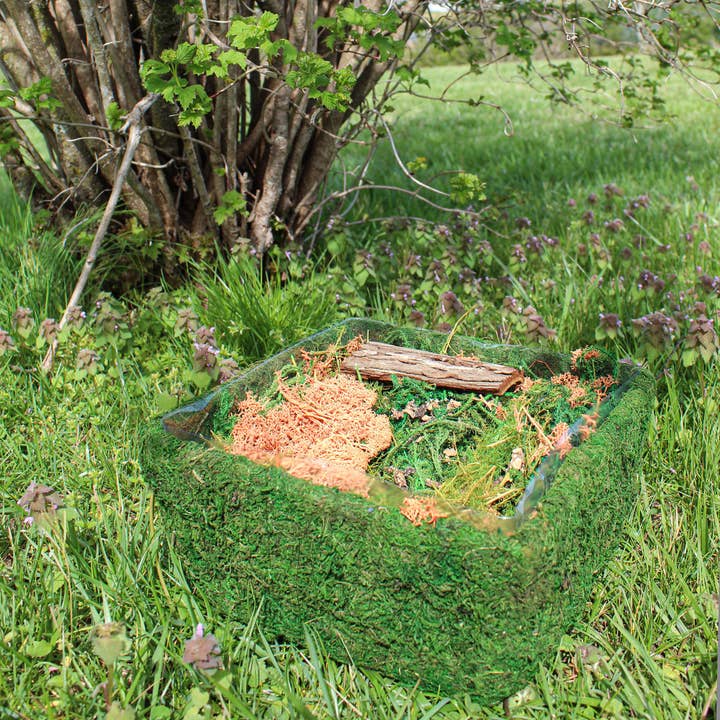 Kurated Korner - Wholesale Terrarium - Esterno DIY Dried Moss Enchanted Landscape Terrarium Starter2