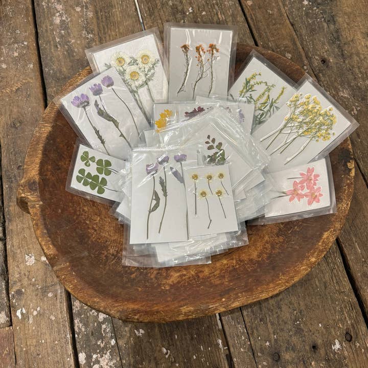 Sugarboo & Co - Wholesale Art Print - Pressed Botanical Collection - Assorted Set of 60