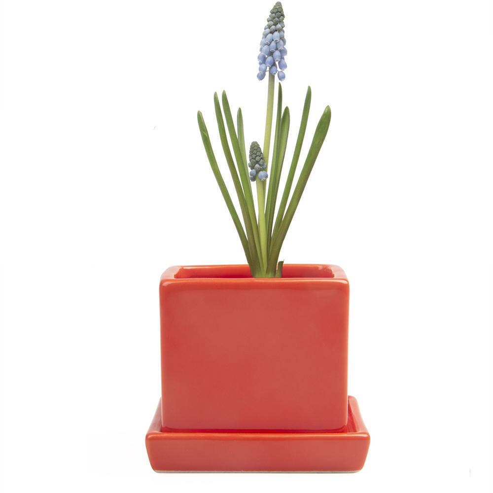 Chive - Wholesale Plant Pot - Cube Pot With Saucer And Drainage Hole 60 Plus Colors18