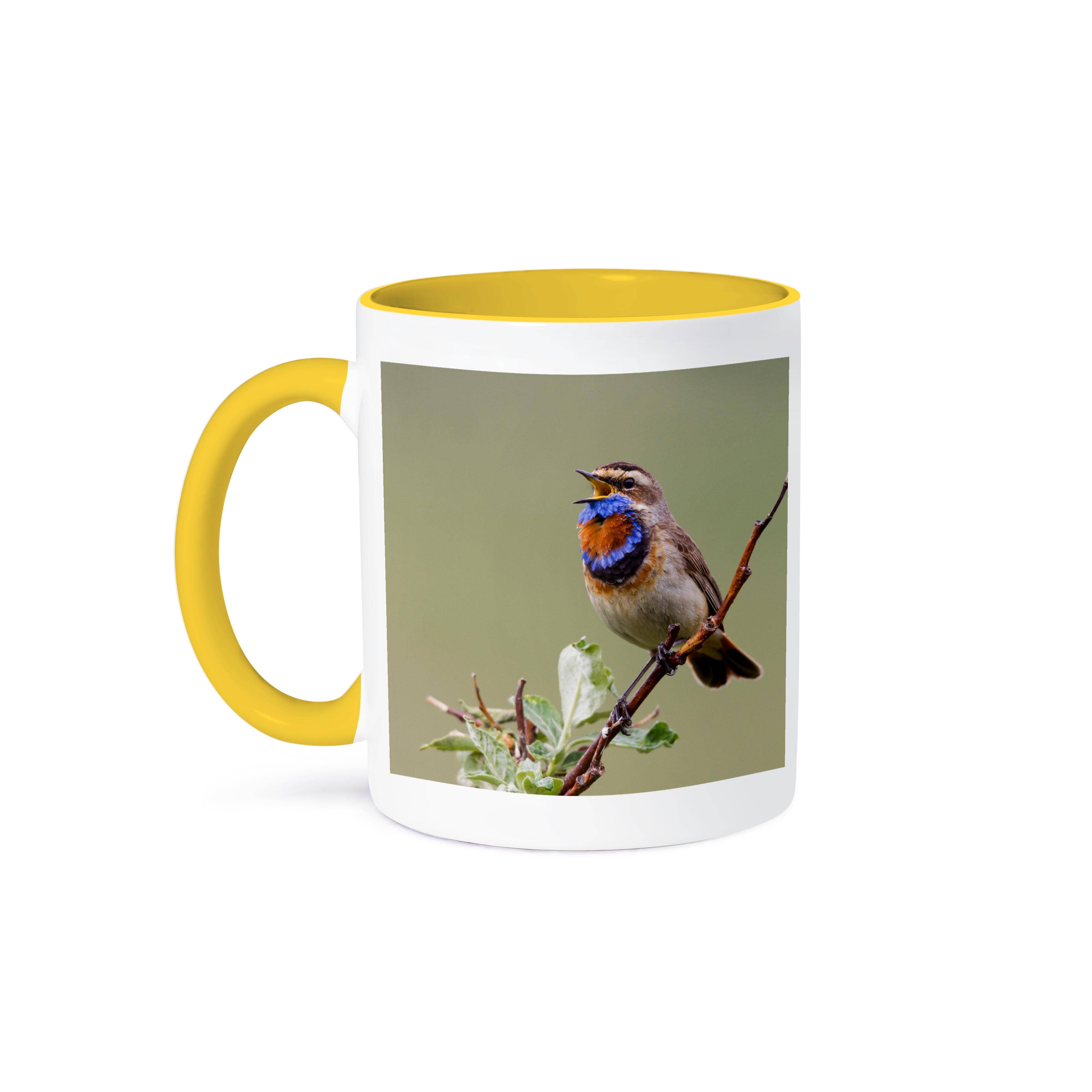 3dRose - Wholesale Coffee Mug - 3dRose, Bluethroat Male, Territory Song, Mug0