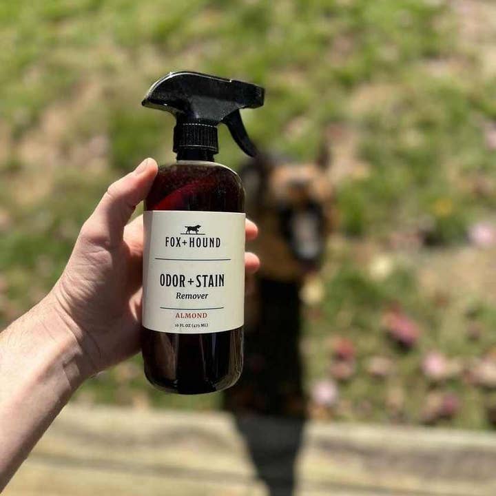 Fox + Hound - Vendita all'ingrosso Spray deodorante per animali - Detergente per animali domestici + smacchiatore - Mandorla - Cane/Gatto/Umano