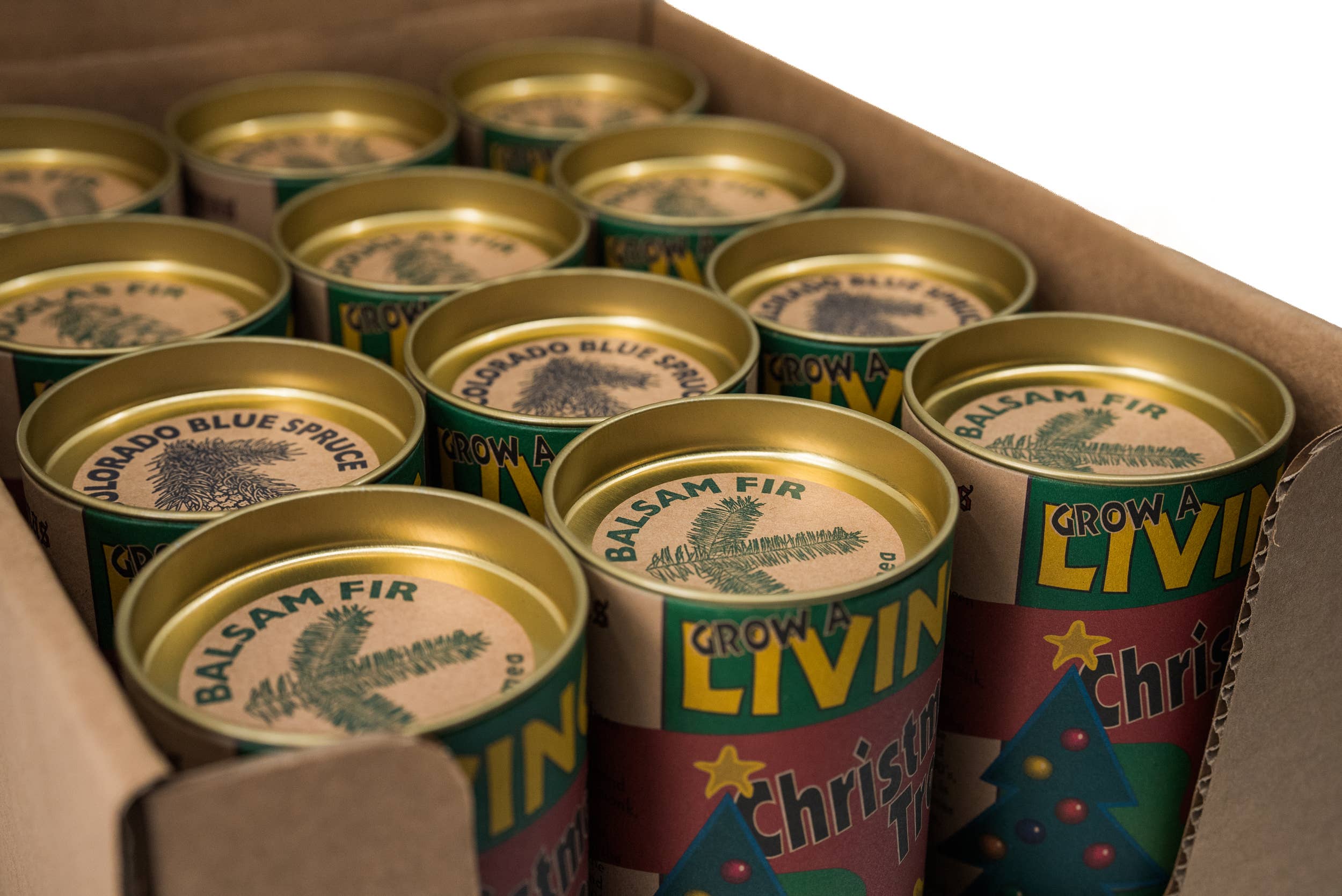 The Jonsteen Company - Wholesale Retailer Display - Home & Living - Living Christmas Case Pack | 12 Grow Kits w/ Display3