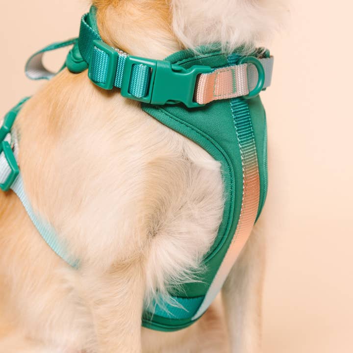 Pink Papyrus | Premium, Durable, & Stylish Dog Products - Wholesale Pet Harness - Dog - Parker Dog Harness | Green No Pull Multi Walk Style Harness5