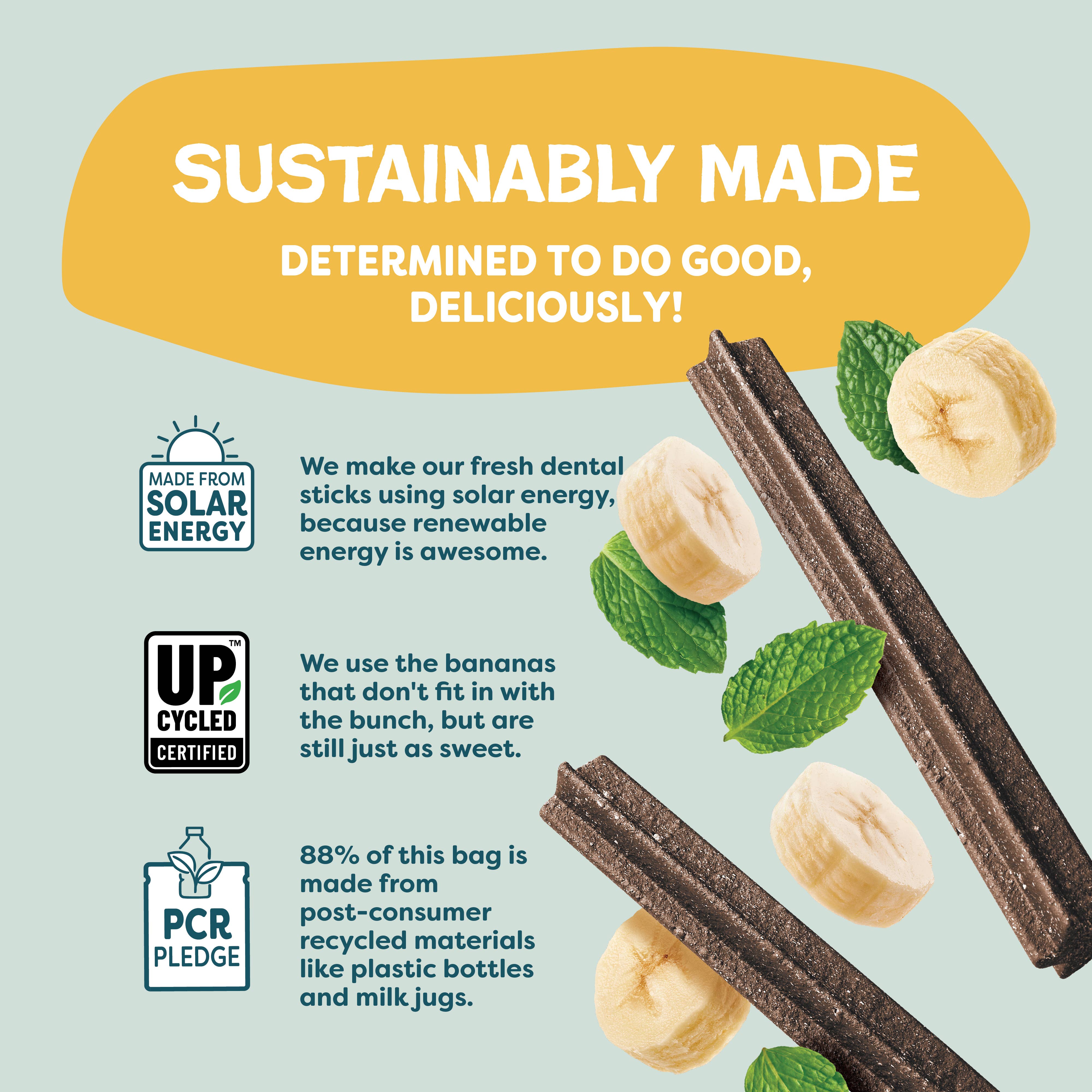 Shameless Pets - Wholesale Pet Treats - Dog - Banana Bone-anza Dental Sticks Dog Treats4