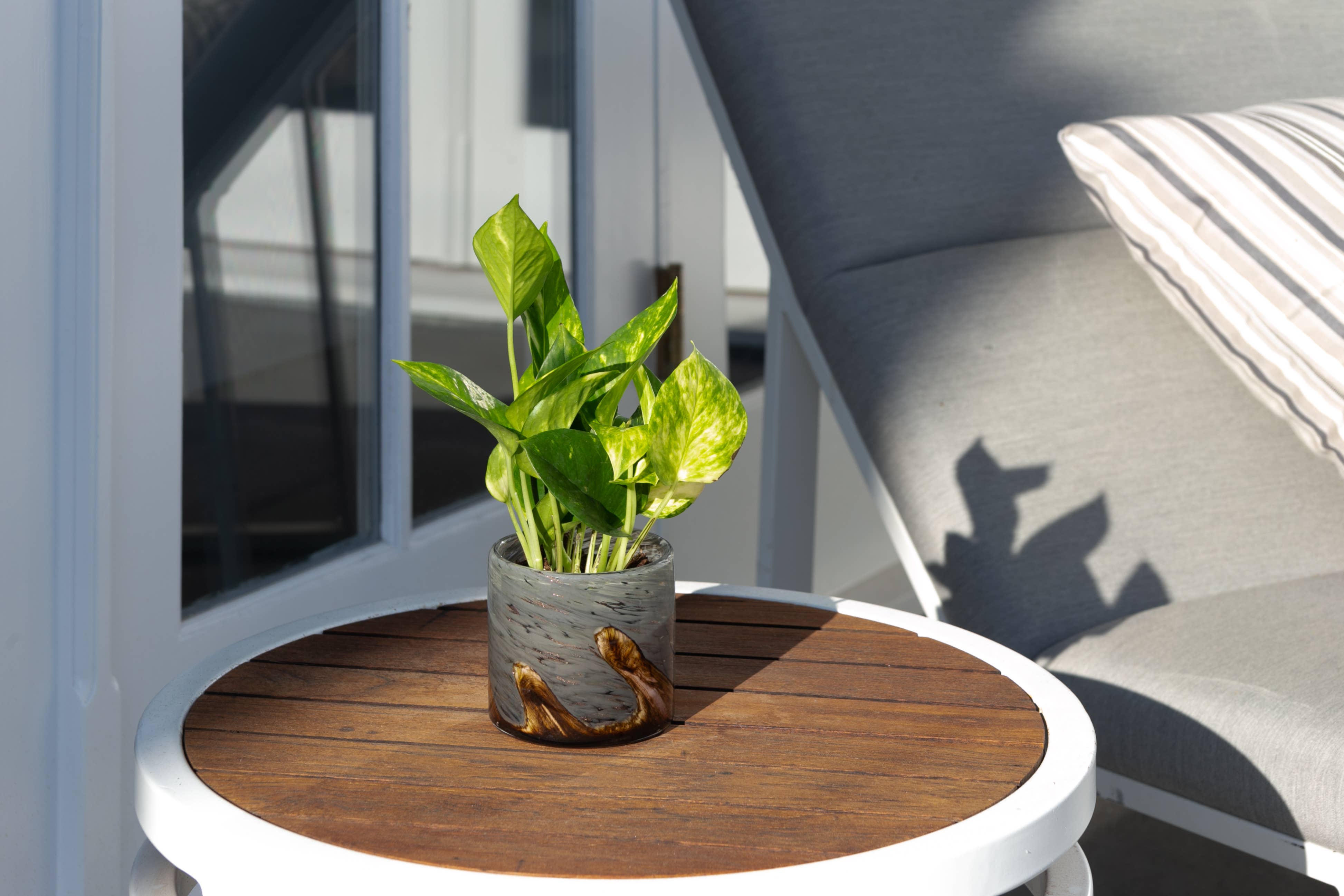 ApricotMint - Wholesale Plant Pot - 4.5" Wave Hand Blown Art Glass Planter9