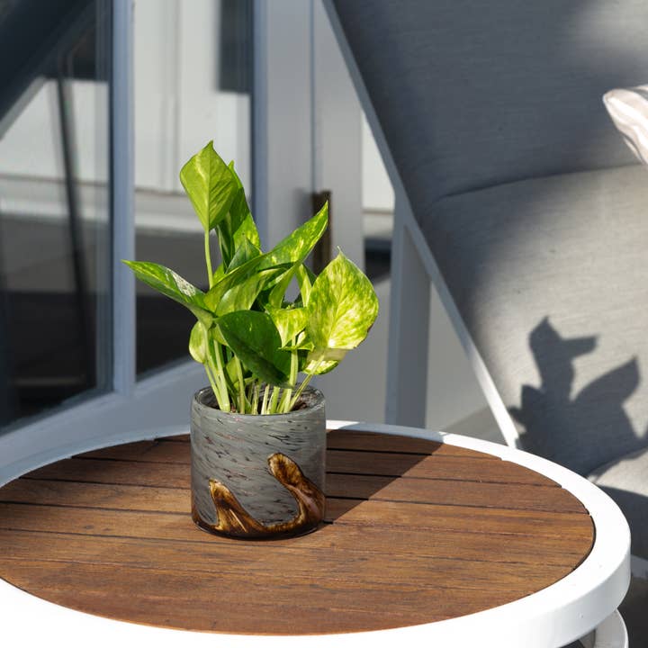 ApricotMint - Wholesale Plant Pot - 4.5" Wave Hand Blown Art Glass Planter9