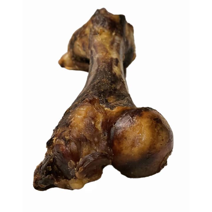 Brazillian Ham Bone with Scoochie Cigar Band and other Purchase Wholesale ostrich bone. Free Returns & Net 60 Terms on Faire trending on Faire.