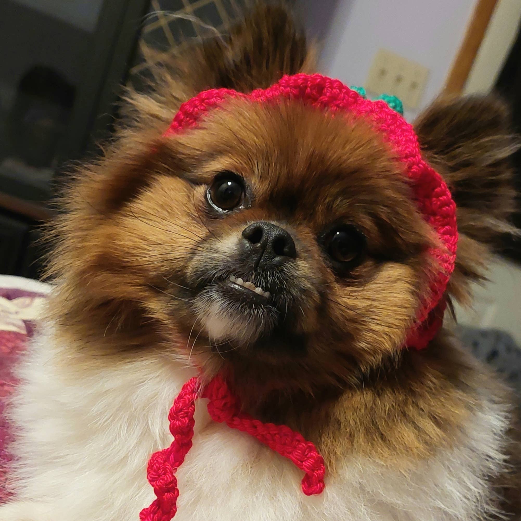 Glitter Ghost Clothing and Accessories – Engroshandel Hundehat - Hund – Hæklet Jordbærhue - Kattehjelm - Pet Hat8