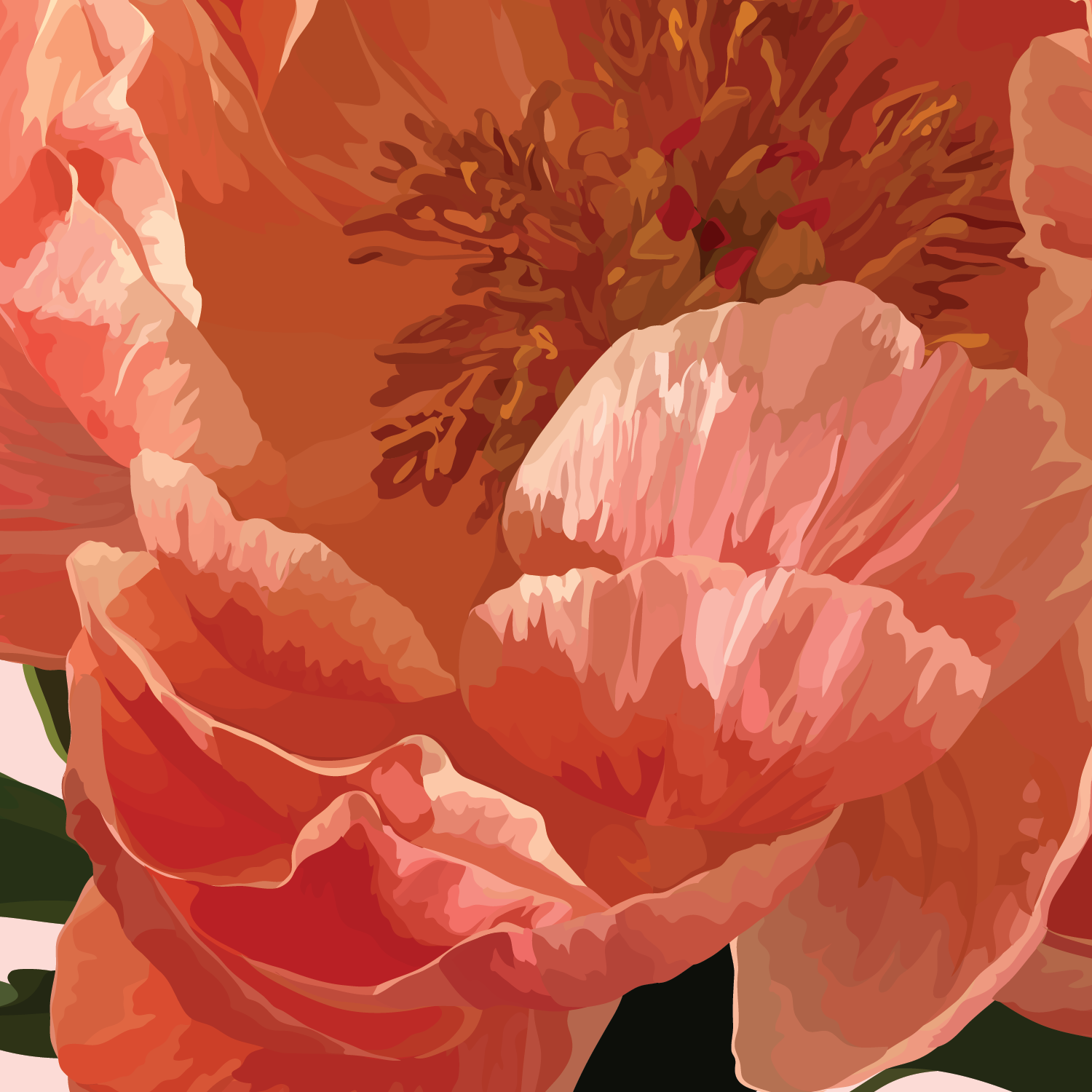 The Red Barn Press - Vente Carte de vœux classique - Carnet floral | Illustration botanique classique de pivoine rose1