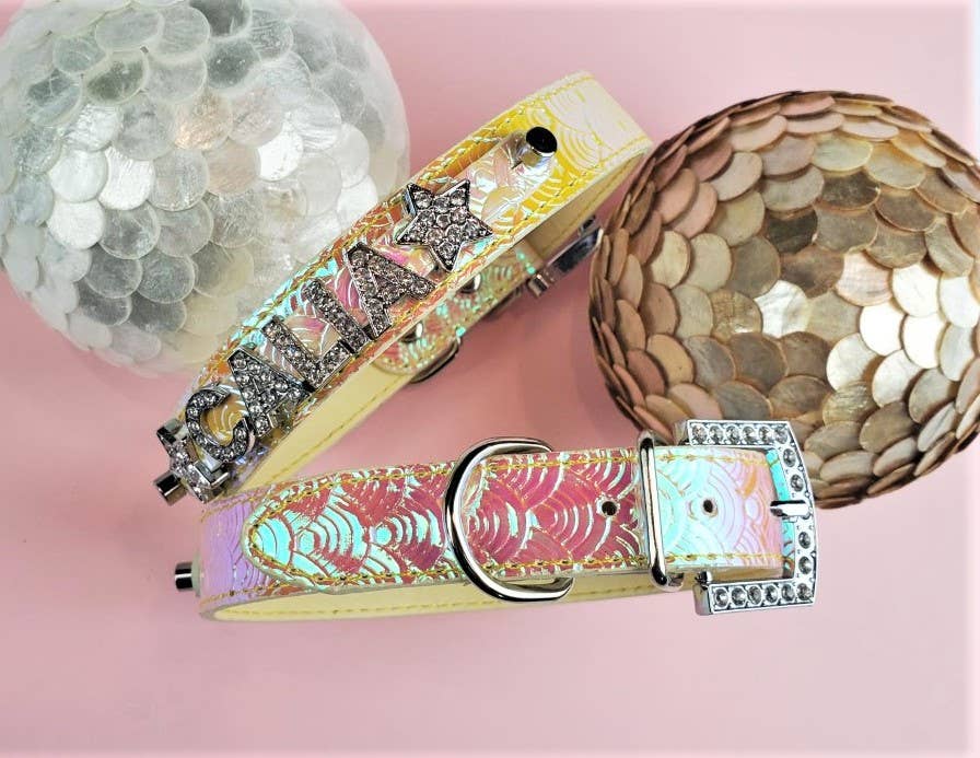 House of FurBaby - Wholesale Pet collar – Cat/dog - Personalized Pet Collar | Metallic Dragon - 2 color choices0