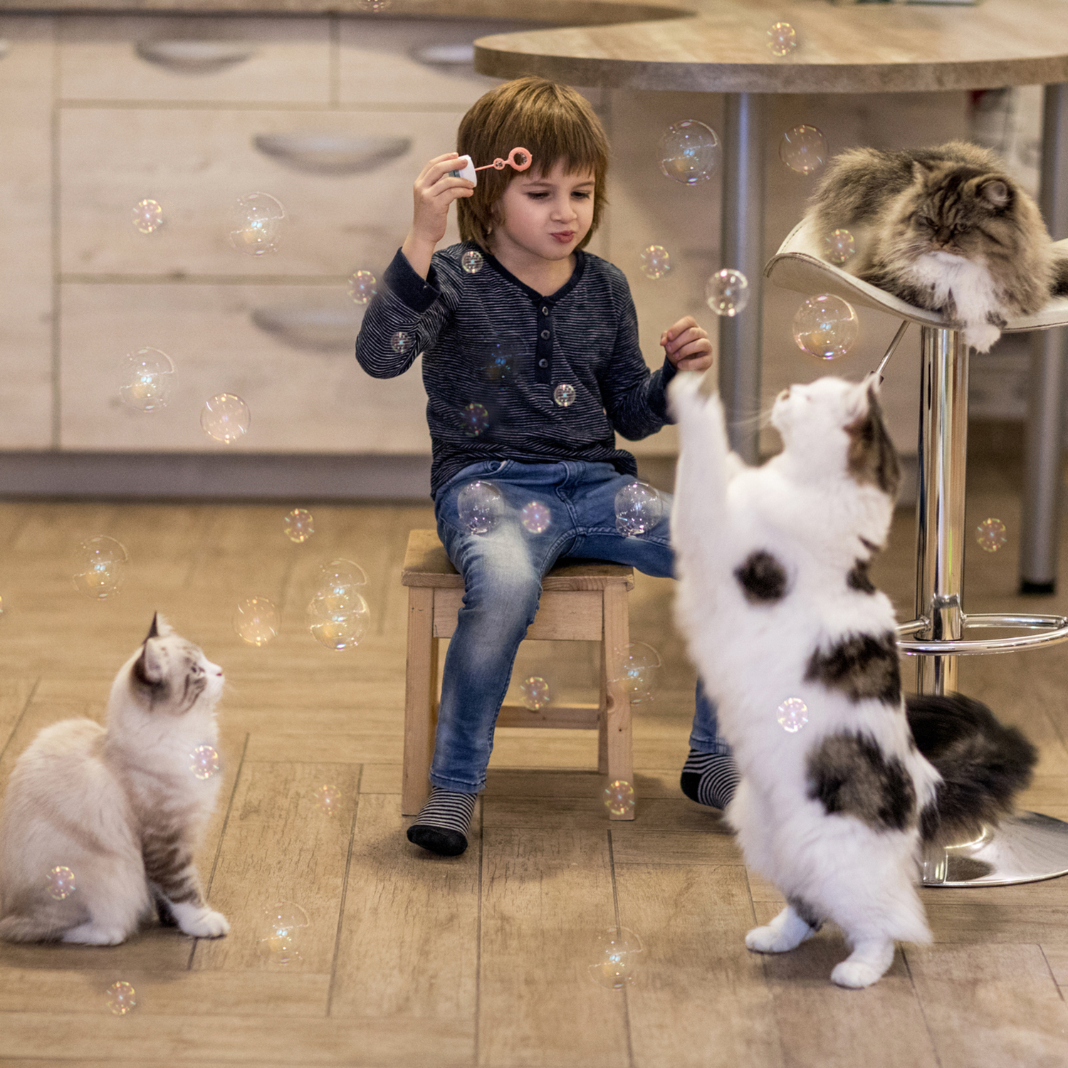 Atomic Bubbles - Wholesale Pet Toy - Cat - Kitty Love® - Catnip Infused Bubbles - 2 Pack6