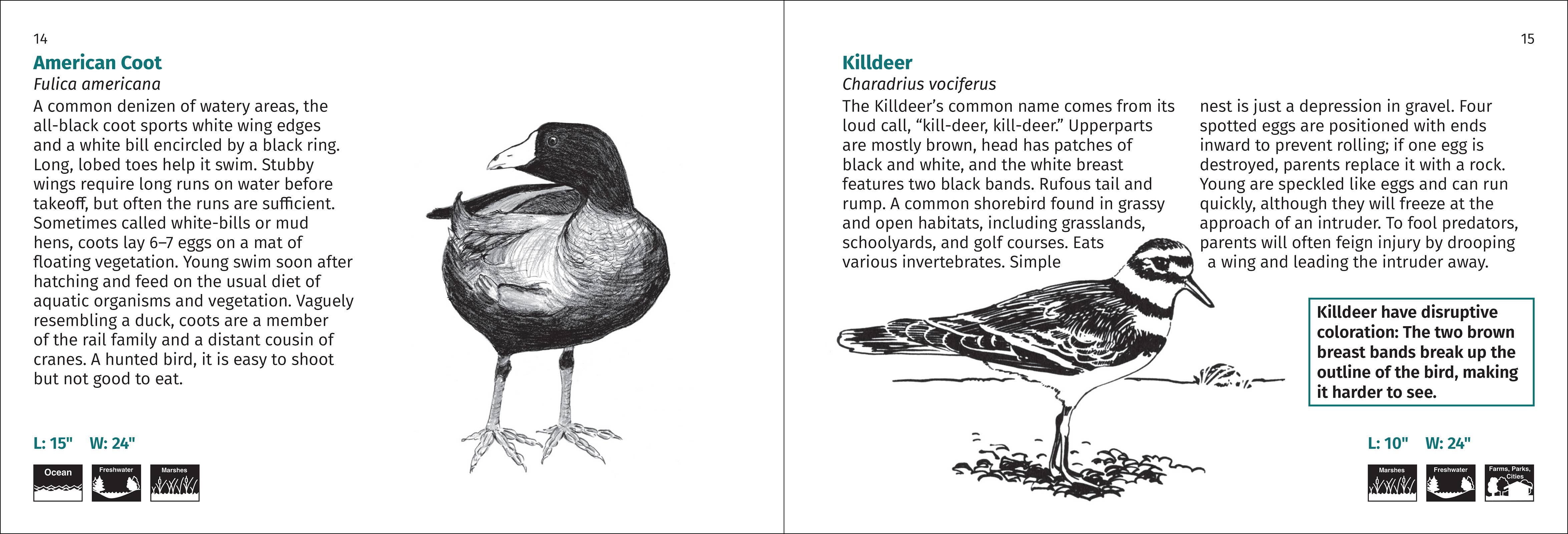 AdventureKEEN - Wholesale Nature & Outdoors - Bird Finder 2e12