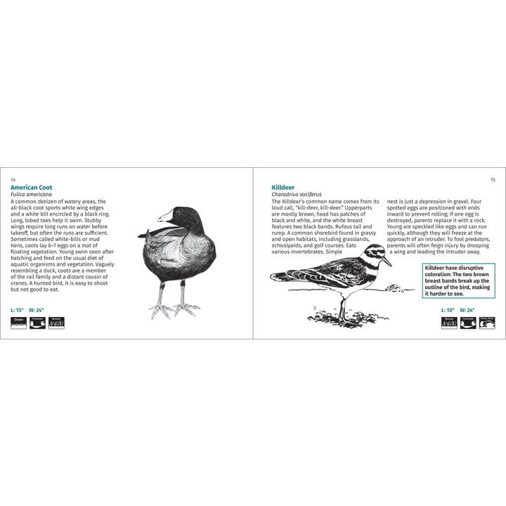 AdventureKEEN - Wholesale Nature & Outdoors - Bird Finder 2e12