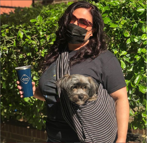 Walking Palm - Venta al por mayor Transportín - Gatos y perros - Eslinga para perros - Tejido a rayas3