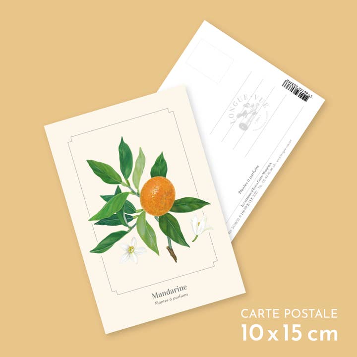 Mandarin - Postcard for wholesale by Longue-vue