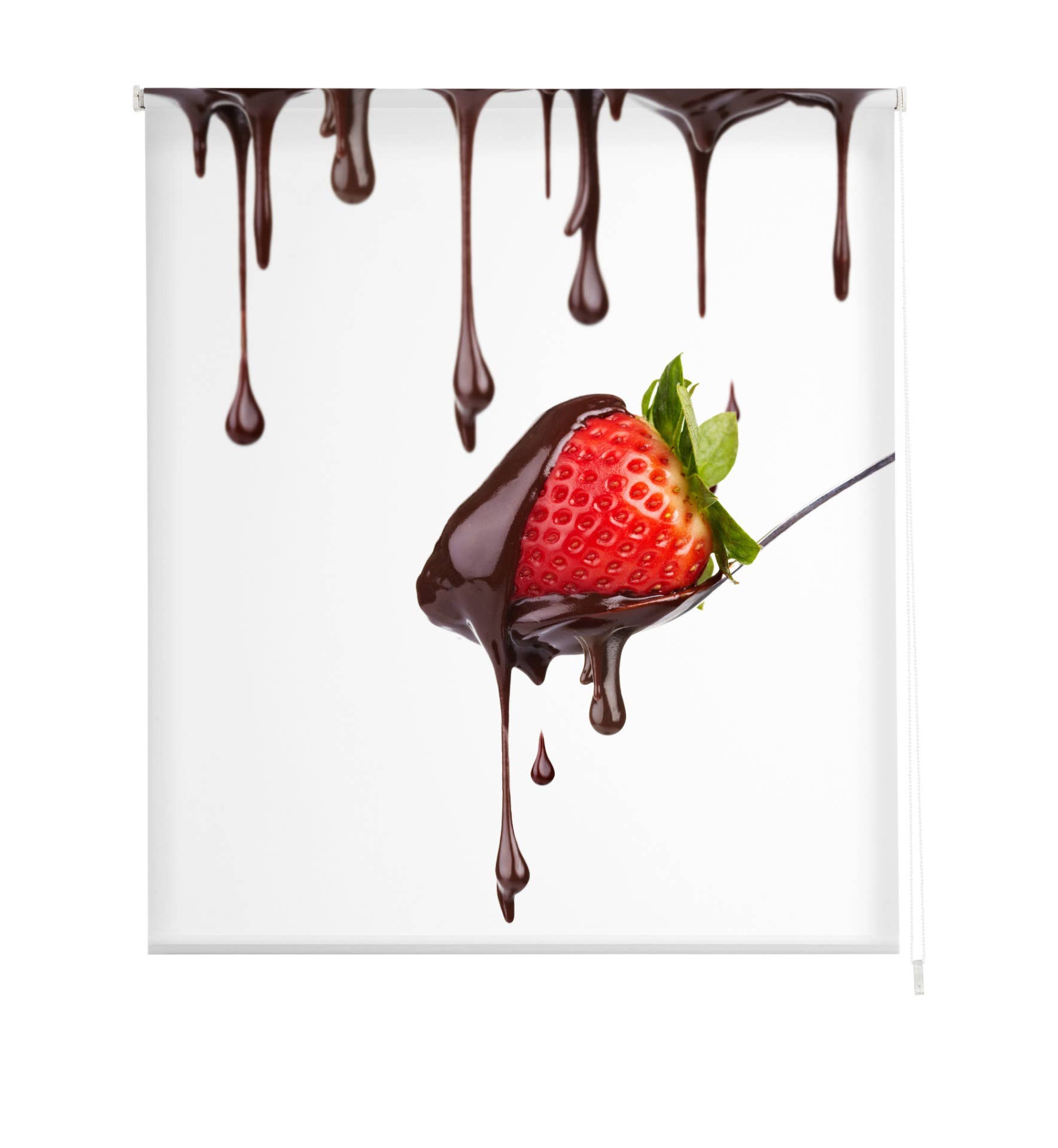 Estor C  Kitchen Printed Translucent Roller Blind for wholesale on Faire0