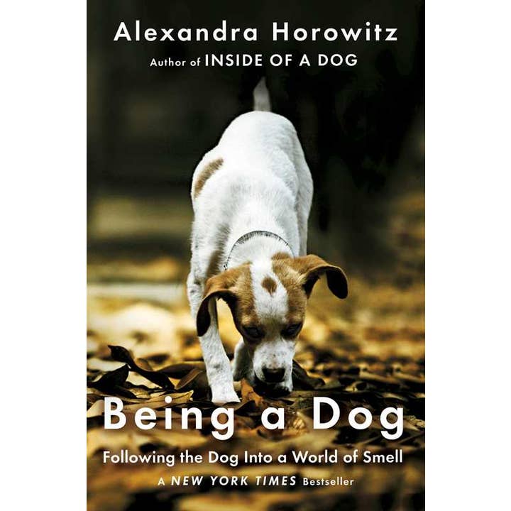 Simon & Schuster - Wholesale Pets - Being a Dog by Alexandra Horowitz0