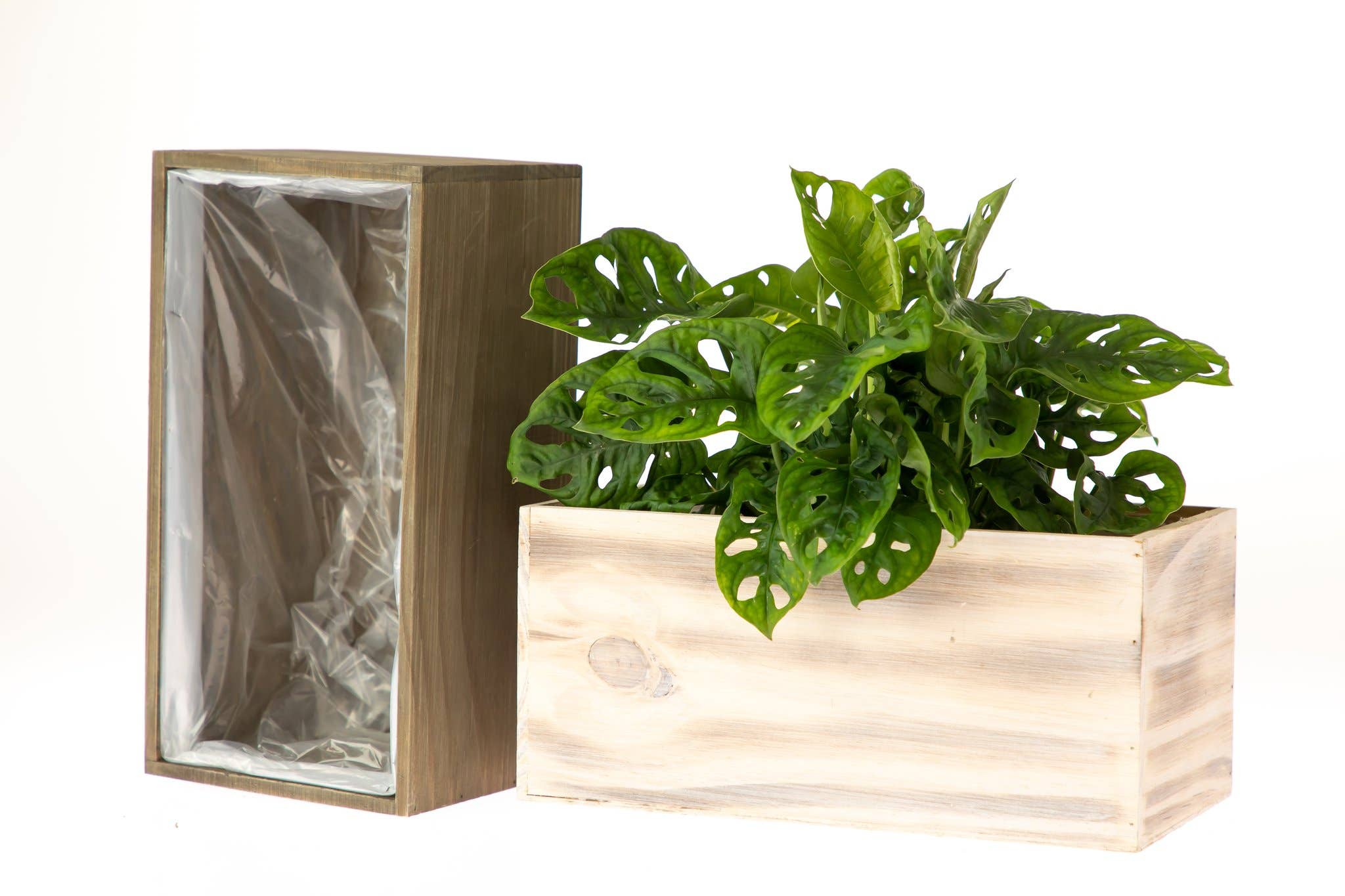 UNIMIX FLORAL - Wholesale Plantenbak - Houten plantenbakken/containers/dozen Floral Plant 8 „x4"6