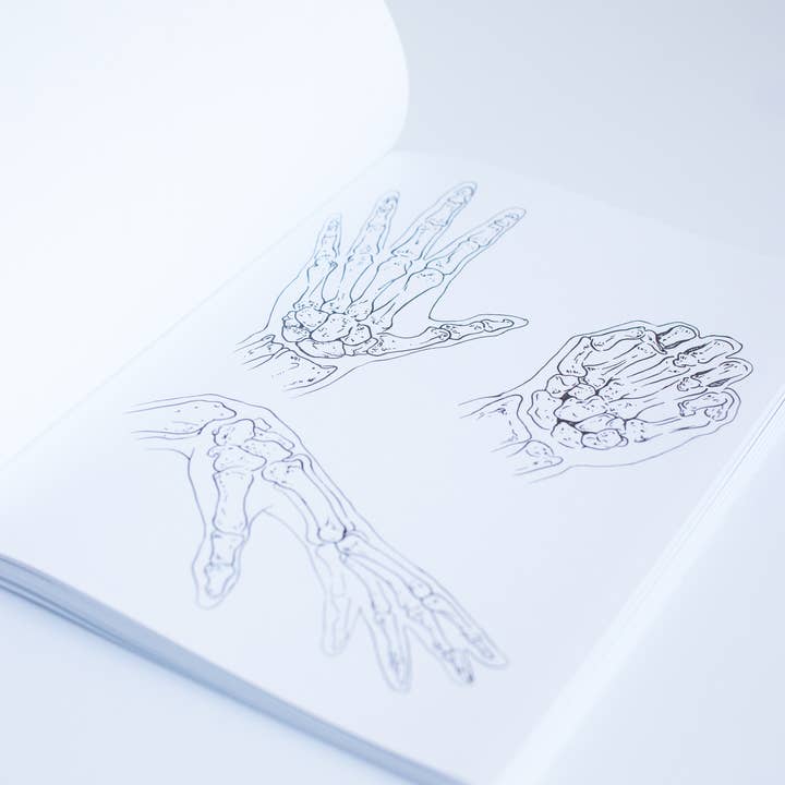 Blue Star Press - Wholesale Coloring Book - Adult - Form: Anatomy Coloring Book (Premium Coloring Book)