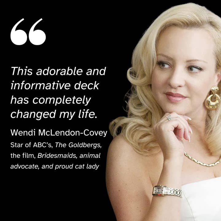 Card To Believe - Wholesale Tarot Cards - Ask Your Cat Cards6