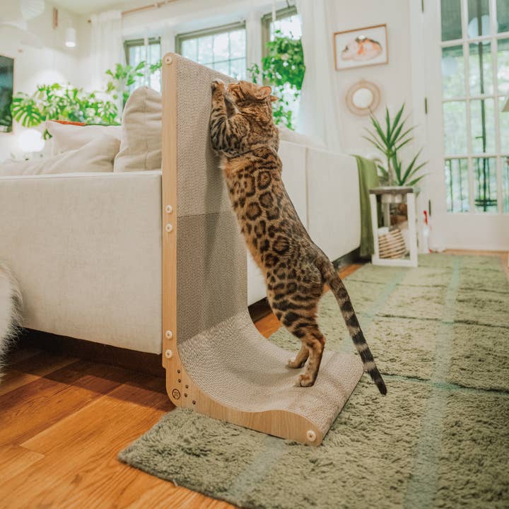 MOON-X USA, INC. - Wholesale Pet Scratcher - Cat - Premium Comfort Scatcher Wall
