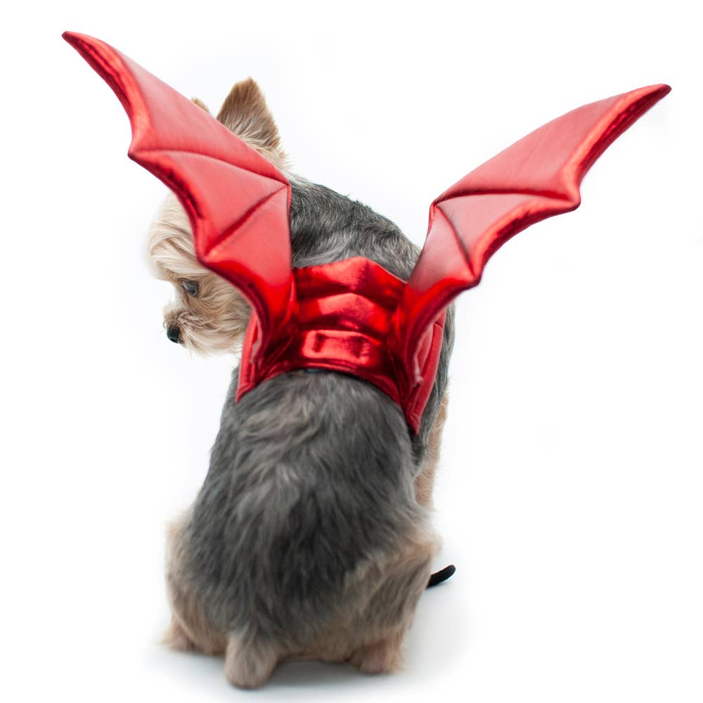 Dogo Pet – wholesale Pet costume – Dog – Dragon Wings2