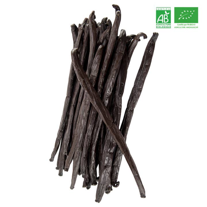 Comptoir Des Epices Madagascar - Wholesale Vanilla/fruit extract - VANILLA Bourbon ORGANIC - PREMIUM (250g)3