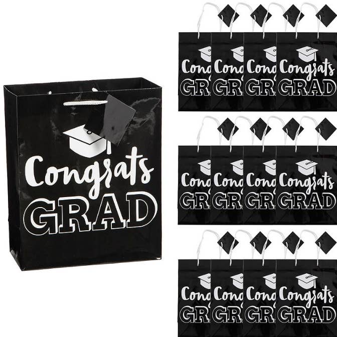 SILVER MOON BAY - Wholesale Gift Bag - Graduation Gift Bag with Tag