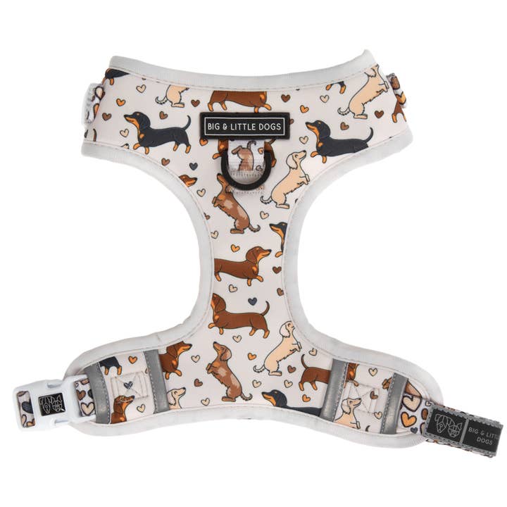 Big and Little Dogs – wholesale Sele - Hund – JUSTERBAR HUNDSELE: Dashie Lovers2