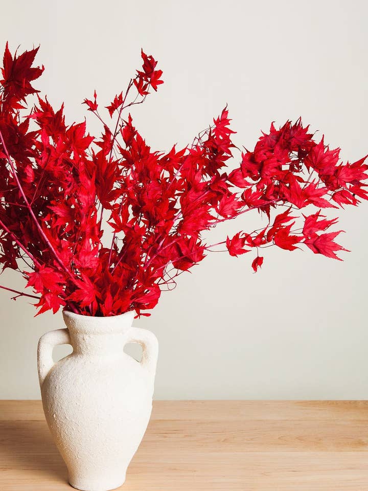 Preserved Red Japanese Maple Branches for wholesale by Idlewild Floral Co.