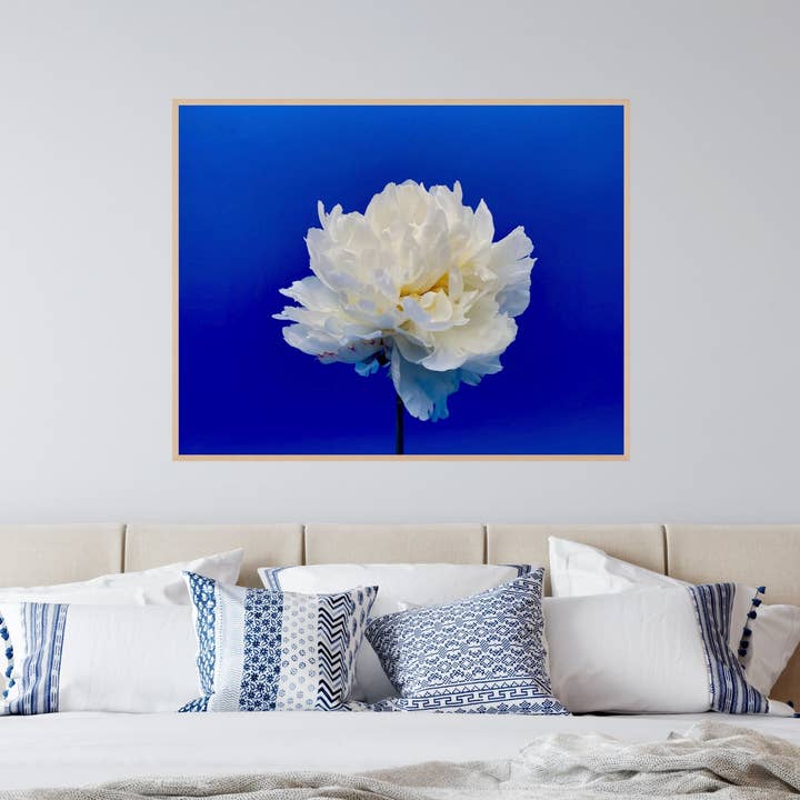 "Balboa Blue" White Peony for Faire for wholesale by The Blooming Collector